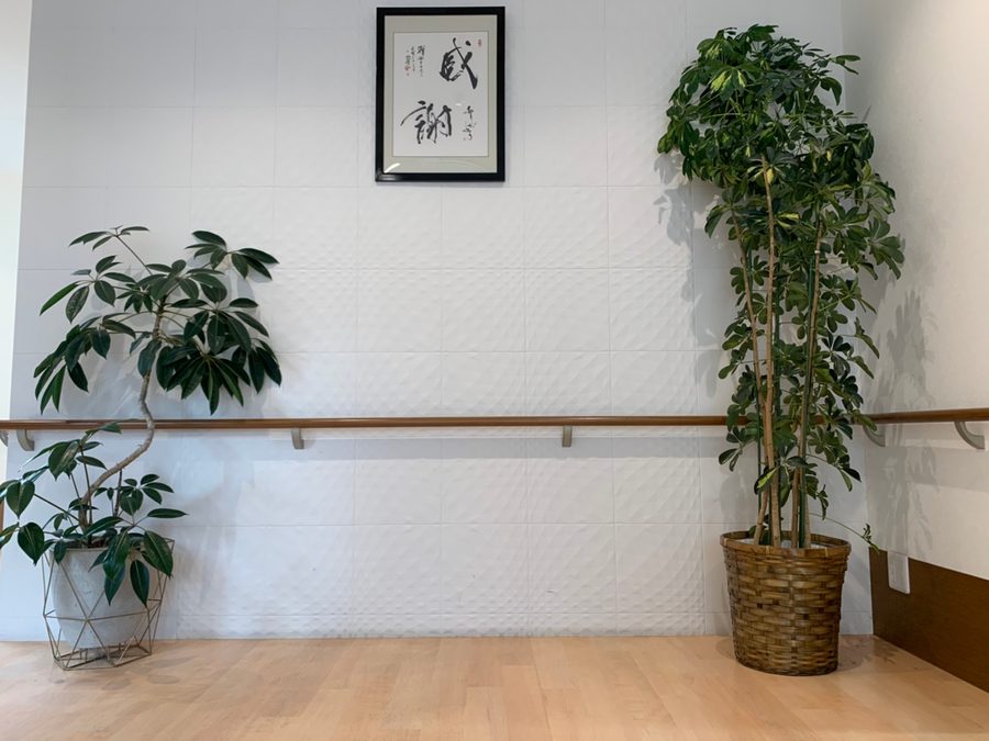 すこやかの共用部。観葉植物と「感謝」の額